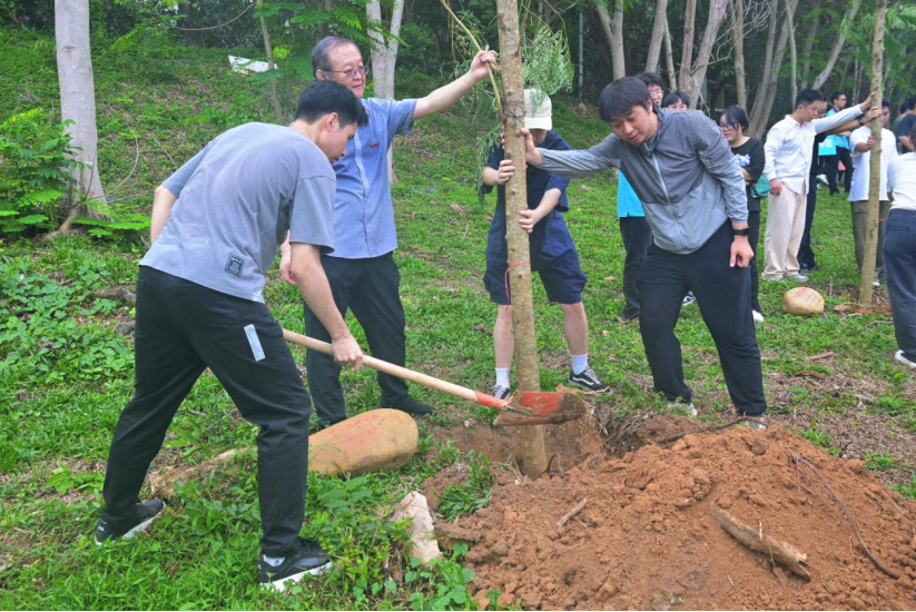 情系母校 师恩润根——公司2024届毕业生共植凤凰木